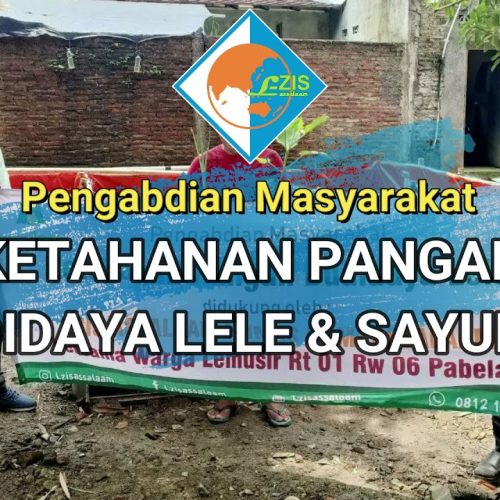 Program Budidaya Lele dan Sayuran LZIS Assalaam
